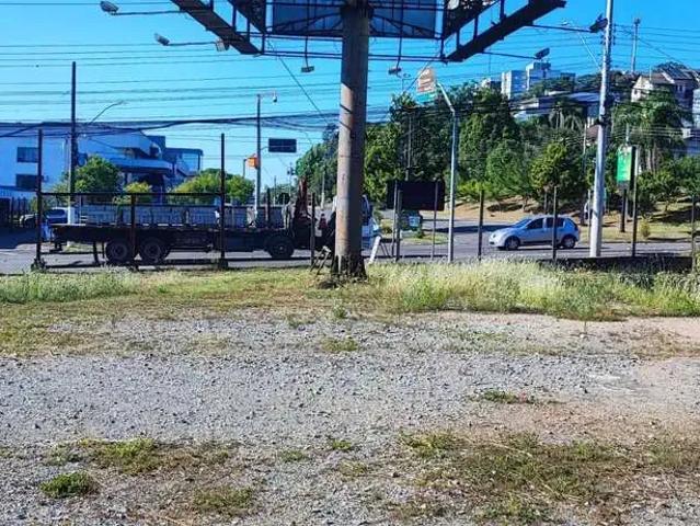 Terreno comercial para Venda em Bento Gonçalves/RS Merlot
