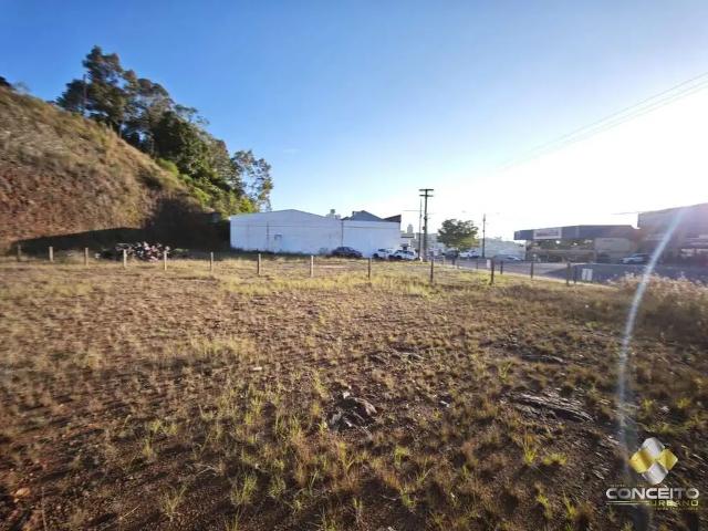 Terreno comercial para Venda em Bento Gonçalves/RS Licorsul