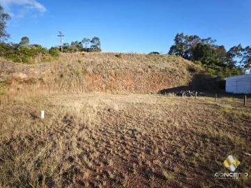 Terreno comercial para Venda em Bento Gonçalves/RS Licorsul