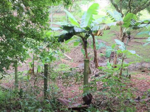 Terreno comercial para Venda em Blumenau/SC Badenfurt