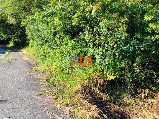 Terreno comercial para Venda em Blumenau/SC Fortaleza