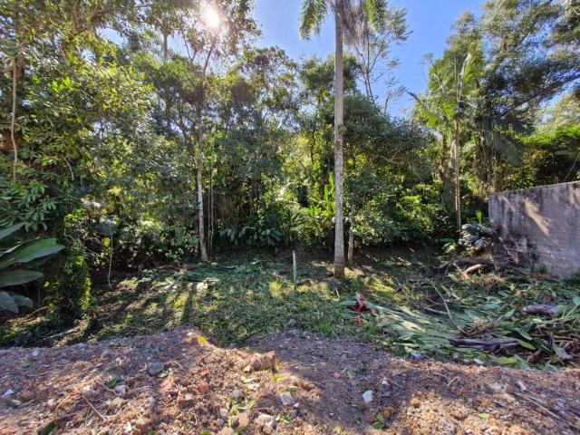 Terreno comercial para Venda em Blumenau/SC Ribeirão Fresco