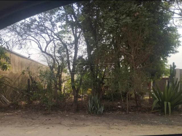 Terreno comercial para Venda em Brotas/SP Broa