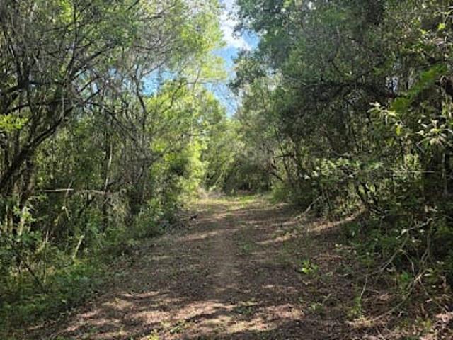 Terreno comercial para Venda em Cunha/SP Campo Alegre
