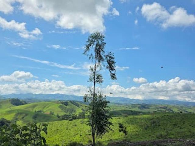 Terreno comercial para Venda em Cunha/SP Cedro