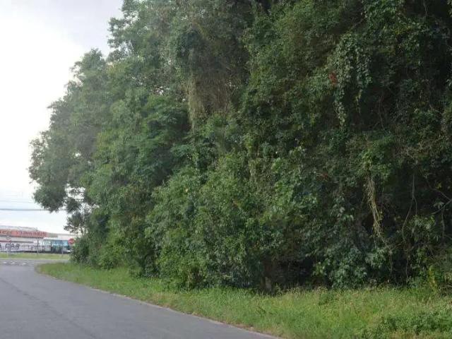 Terreno comercial para Venda em Curitiba/PR Cajuru