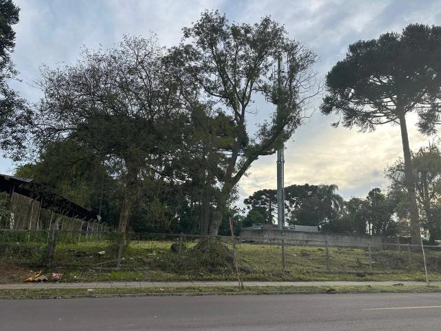 Terreno comercial para Venda em Curitiba/PR Cajuru