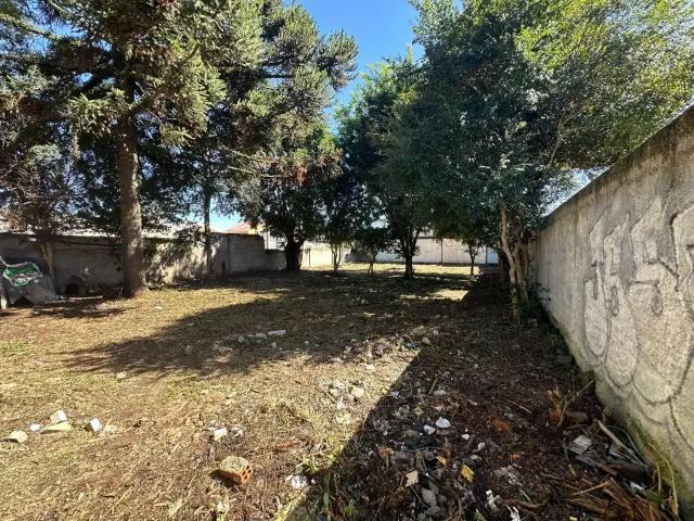 Terreno comercial para Venda em Curitiba/PR Fazendinha