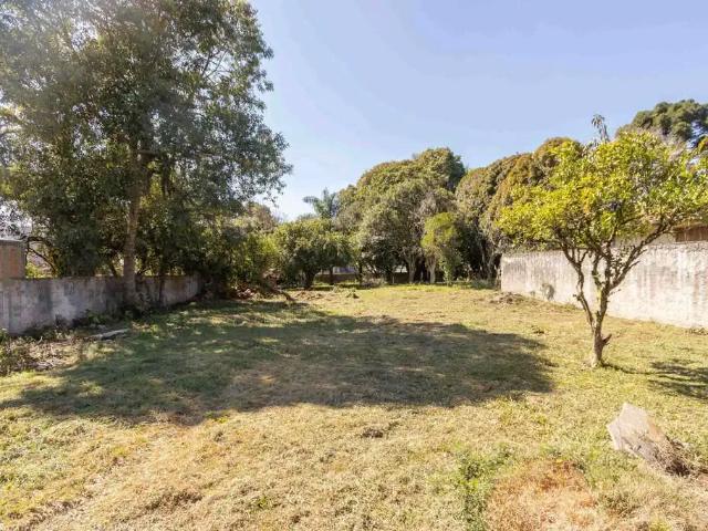 Terreno comercial para Venda em Curitiba/PR Orleans