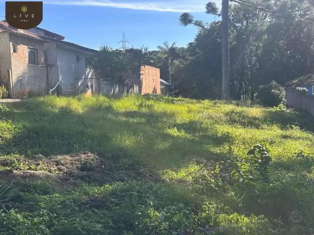 Terreno comercial para Venda em Curitiba/PR São João