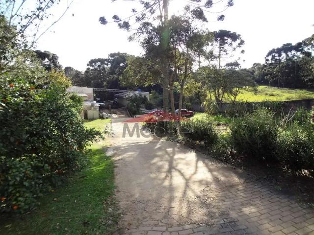 Terreno comercial para Venda em Curitiba/PR Umbará