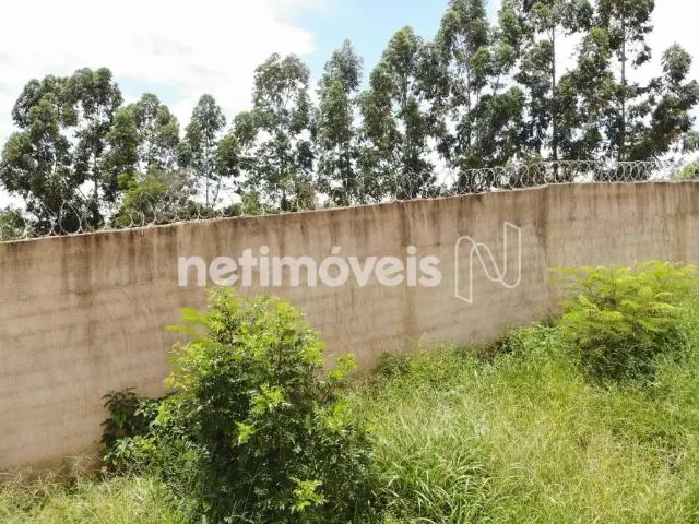 Terreno comercial para Venda em Curvelo/MG Boa Esperança