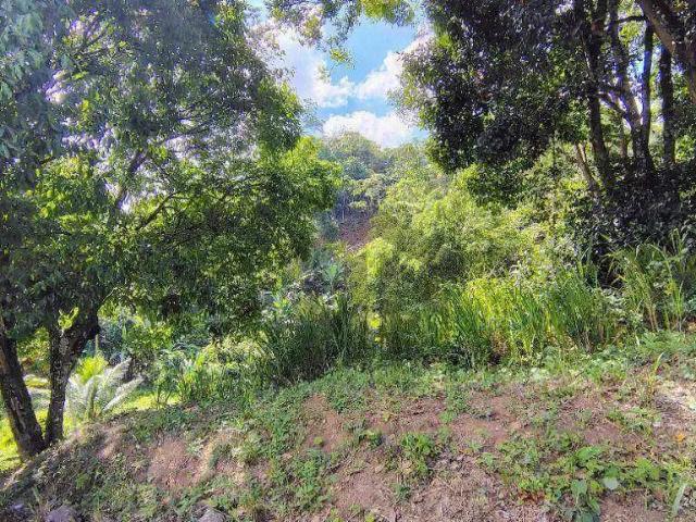 Terreno comercial para Venda em Cabo de Santo Agostinho/PE Centro