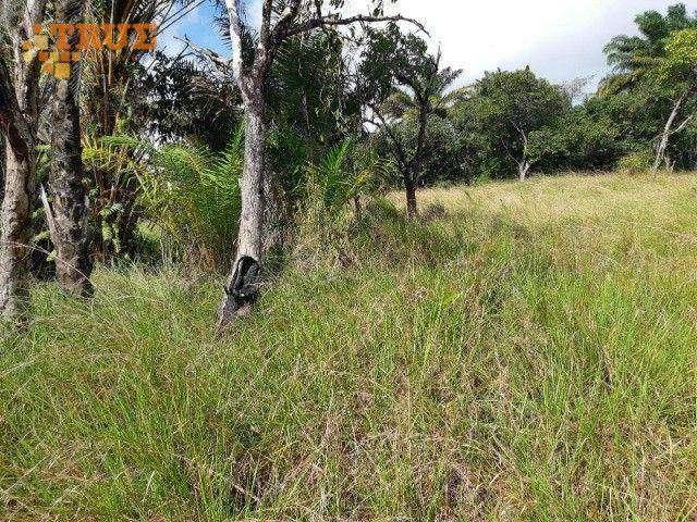 Terreno comercial para Venda em Cabo de Santo Agostinho/PE Garapu