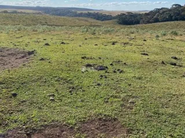 Terreno comercial para Venda em Cambará do Sul/RS Centro