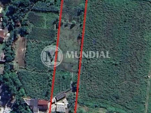 Terreno comercial para Venda em Camboriú/SC Rio Pequeno