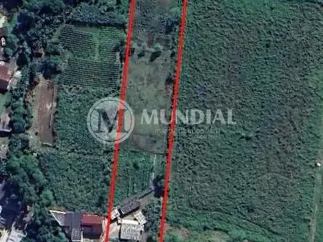 Terreno comercial para Venda em Camboriú/SC Rio Pequeno