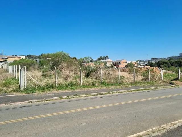 Terreno comercial para Venda em Campina Grande do Sul/PR CICAMP