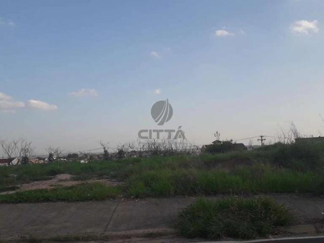 Terreno comercial para Venda em Campinas/SP Cidade Satélite Íris