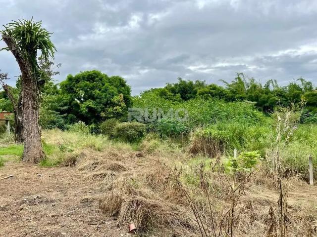 Terreno comercial para Venda em Campinas/SP Jardim Campo Grande