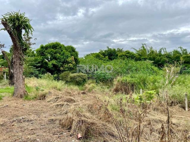 Terreno comercial para Venda em Campinas/SP Jardim Campo Grande