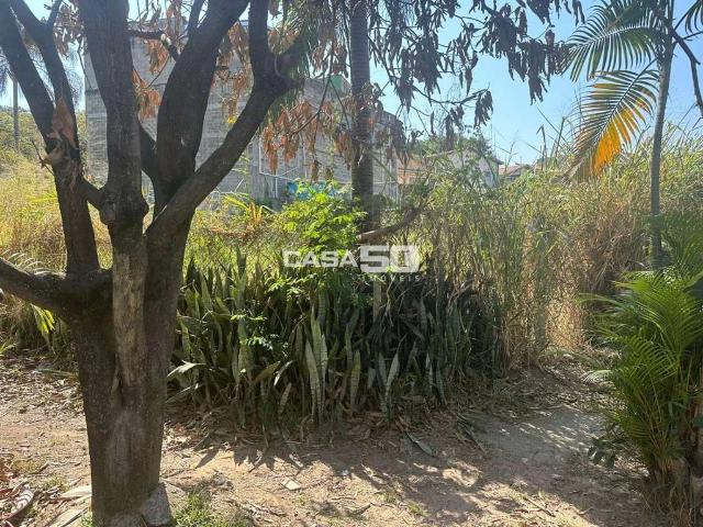 Terreno comercial para Venda em Campinas/SP Jardim Indianópolis