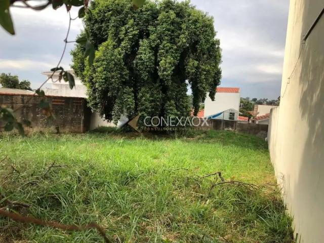 Terreno comercial para Venda em Campinas/SP Nova Campinas