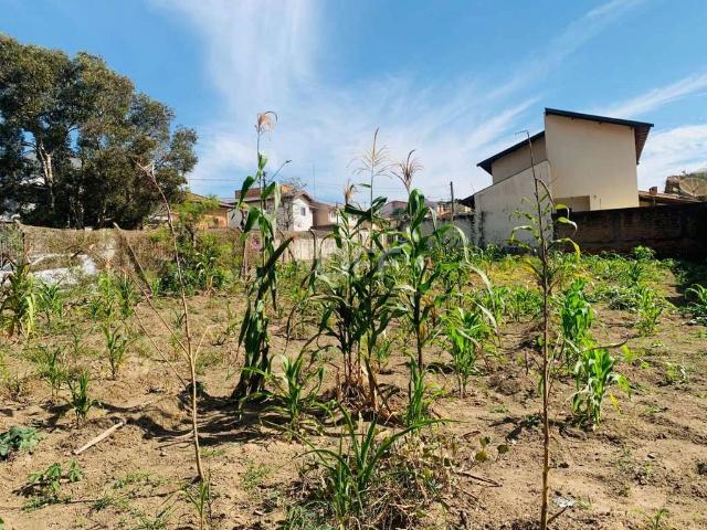 Terreno comercial para Venda em Campinas/SP Parque Alto Taquaral