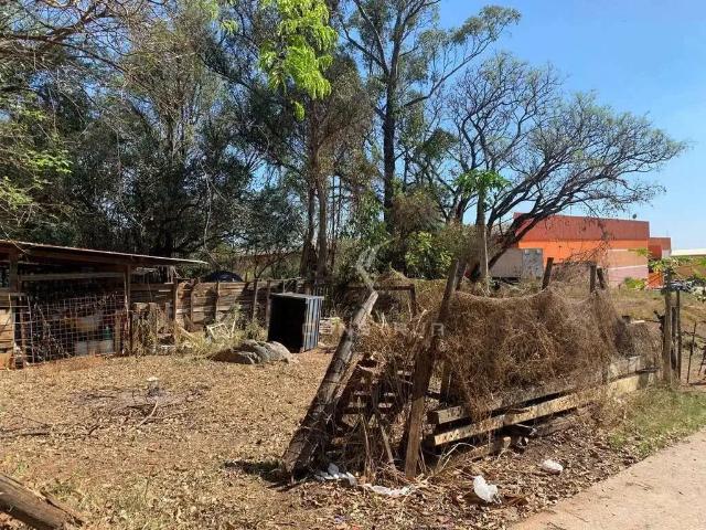 Terreno comercial para Venda em Campinas/SP Parque Jambeiro