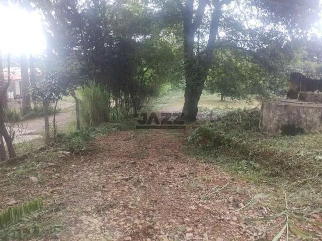 Terreno comercial para Venda em Campinas/SP Vila Ipê