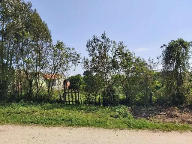 Terreno comercial para Venda em Campo do Tenente/PR Centro
