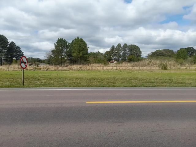 Terreno comercial para Venda em Campo do Tenente/PR Ribeirão Vermelho