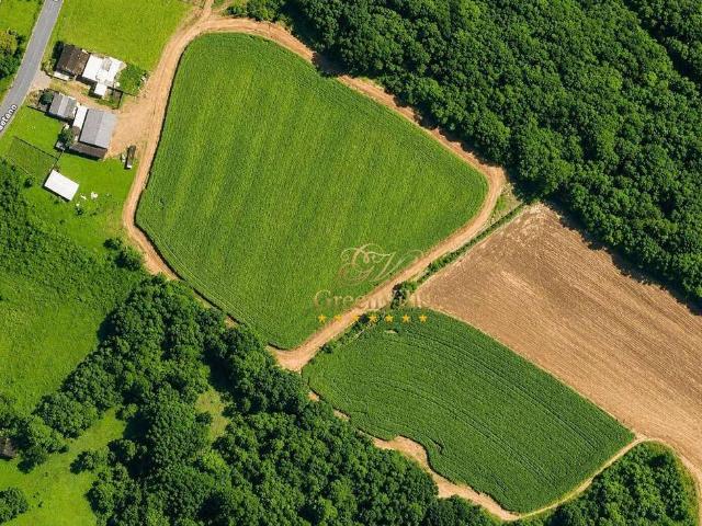 Terreno comercial para Venda em Campo Largo/PR Rondinha
