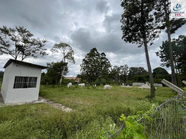 Terreno comercial para Venda em Campo Limpo Paulista/SP Área Industrial 3