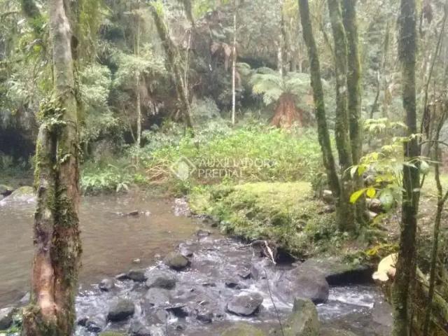 Terreno comercial para Venda em Canela/RS Zona Rural