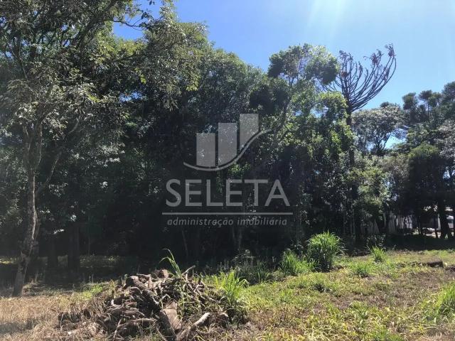 Terreno comercial para Venda em Cascavel/PR São Salvador