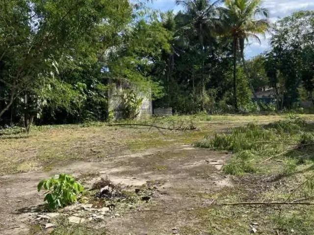 Terreno comercial para Venda em Caraguatatuba/SP Tabatinga