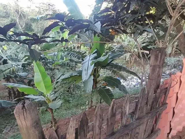 Terreno comercial para Venda em Cariacica/ES Cariacica Sede