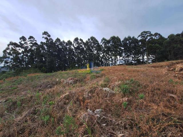 Terreno comercial para Venda em Carlos Barbosa/RS Zona Rural