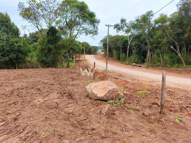Terreno comercial para Venda em Caxias do Sul/RS Monte Bérico