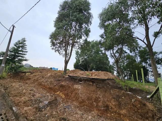 Terreno comercial para Venda em Caxias do Sul/RS Pioneiro