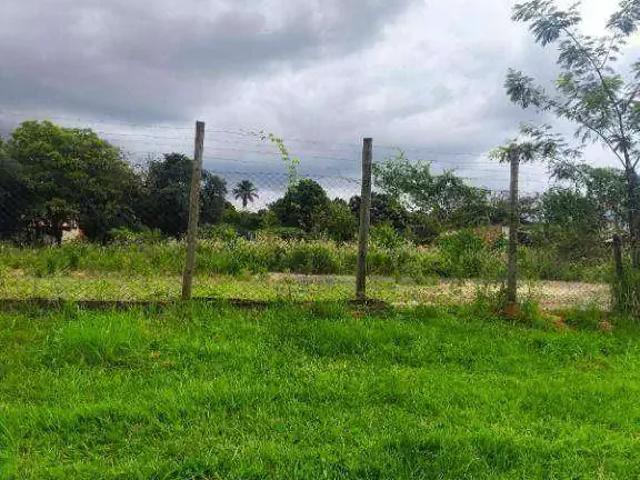 Terreno comercial para Venda em Cedral/SP Centro