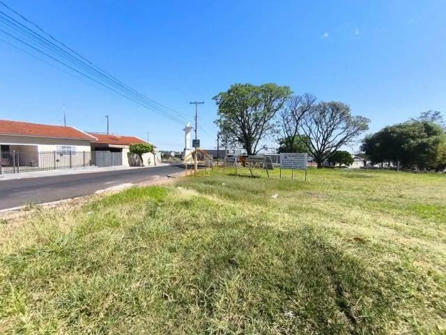 Terreno comercial para Venda em Cedral/SP Centro