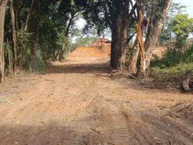 Terreno comercial para Venda em Cedral/SP Estancia Trolinger