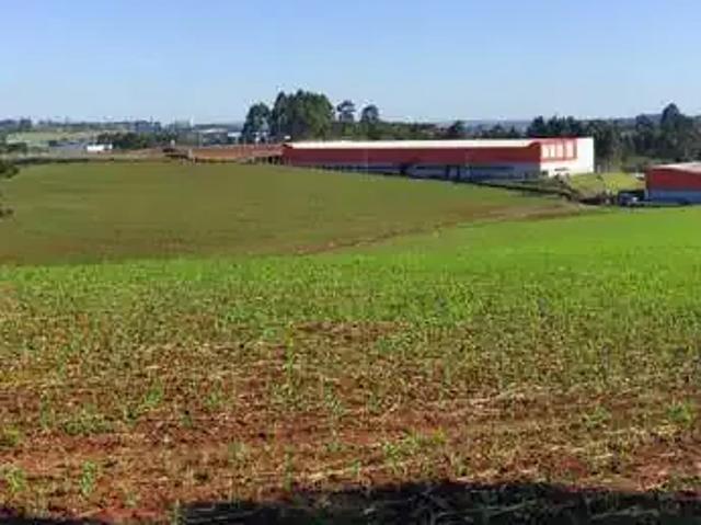 Terreno comercial para Venda em Chapecó/SC Trevo
