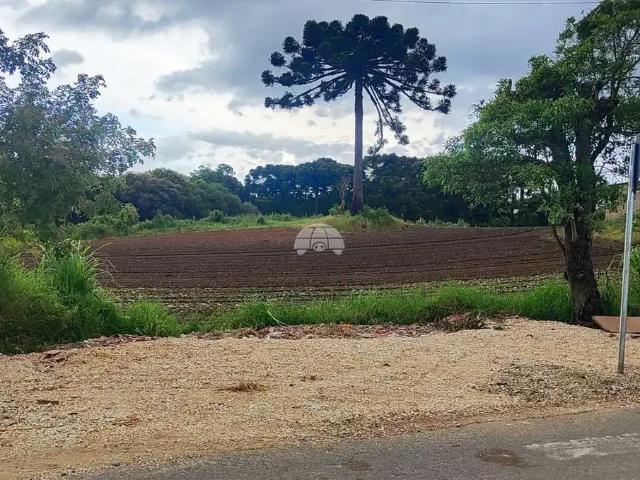 Terreno comercial para Venda em Colombo/PR Gabirobal
