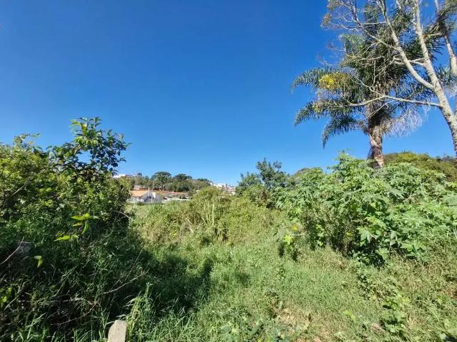 Terreno comercial para Venda em Colombo/PR Paloma