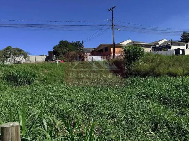 Terreno comercial para Venda em Colombo/PR Parque do Embu