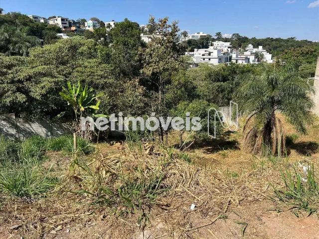 Terreno comercial para Venda em Contagem/MG Cabral