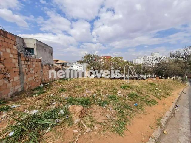 Terreno comercial para Venda em Contagem/MG Chácara Cotia